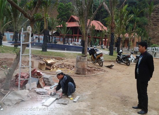 thiết kế phủ hoa phong, biệt thự vườn thiết kế phủ hoa phong, biệt thự vườn