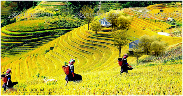 nha-thong-minh-vihome