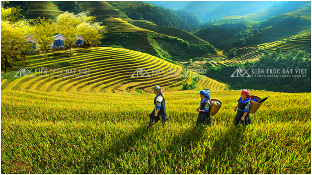 thiet-ke-nha-thong-minh-vihome